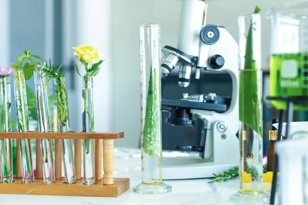 Science lab research with microscope for Natural aromatic and essential oil from fresh flower of for new product skin care in laboratory.  Healthy  Natural herb Concept