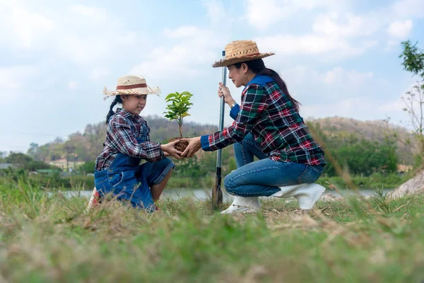 Familia Asiática Mamá Niño Hija Plantar Árbol Retoño Aire Libre — Foto de Stock