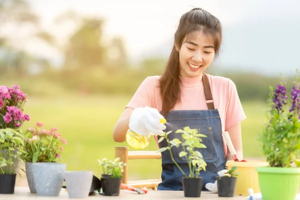 Mujer Joven Cuidado Planta Flor Jardín Gente Asiática Hobby Jardinería —  Fotos de Stock