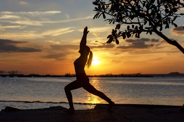 Estilo Vida Mulher Yoga Exercício Pose Para Vida Saudável Jovem — Fotografia de Stock