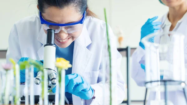 Asian Woman Team Science Lab Research Natural Alternative Herb Essential — Stockfoto