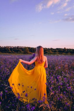 Sarı elbiseli bir kız, leylak çiçekleriyle bir tarlada yürüyor. Gün batımında elinde bir buket çiçek