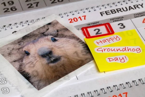 Groundhog Günü için iyi dilekler
