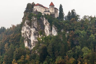 Kale üzerinde lake Bled, Slovenya