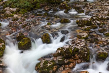 Sava Bohinjska nehre Triglav Ulusal Parkı, Slovenya