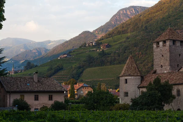 Viñedos en Bolzano, Italia — Foto de Stock