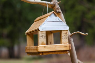 Ev yapımı kuş Besleyici