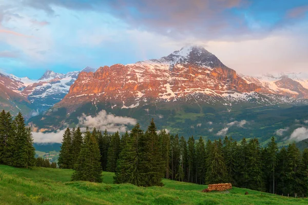 Eiger 山山顶，格林德沃，瑞士的视图 — 图库照片