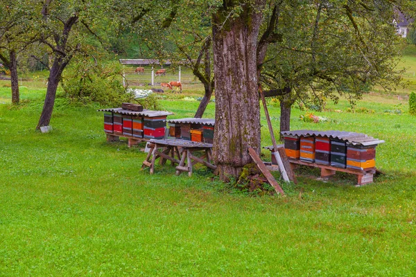 Včelary v horské vesnici, Slovinsko — Stock fotografie