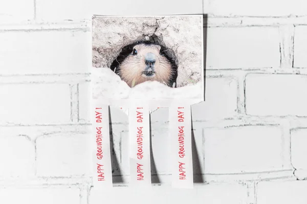 Köstebek Günü, Rusya 'da hafif tuğlalı bir duvarın arka planında kutlanır.