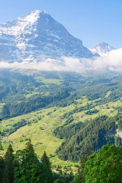 Vista panorámica del Eiger y el valle de Grindelwald desde las alturas de Bussalpstrasse, Suiza — Foto de Stock