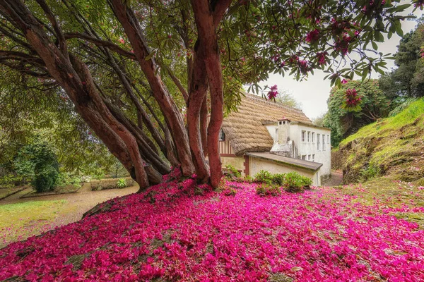 Caldeirao Verde 'deki Picturesque Park, Santana, Madeira Adası, Portekiz