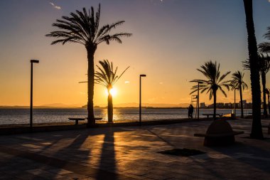 Kosta Brava 'da Güller, Katalonya, İspanya