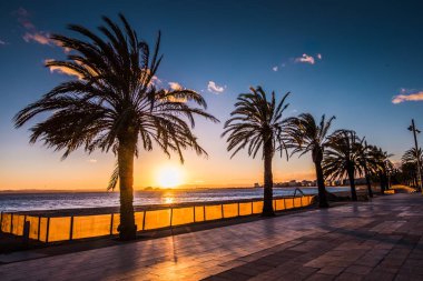 Kosta Brava 'da Güller, Katalonya, İspanya