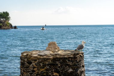 Costa Brava, Katalonya, İspanya 'da kadavra manzarası