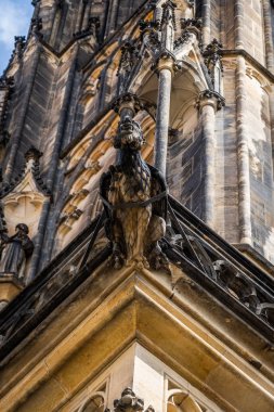 Çek Cumhuriyeti 'ndeki Saint Vitus Katedrali Prag.