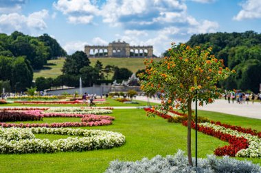 Viyana 'daki Schonbrunn Sarayı, Avusturya.