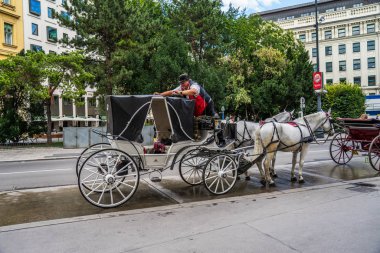 Avusturya, Viyana 'da ünlü bir at arabası..