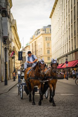 Avusturya, Viyana 'da ünlü bir at arabası..