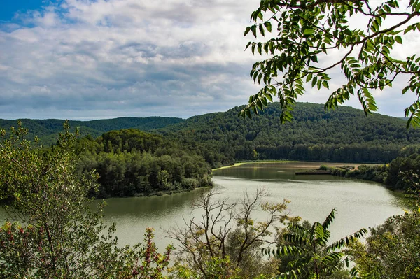 Swamp Foix i Catalonien, Spanien - Stock-foto