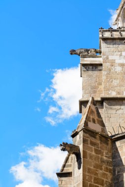 Barcelona Katedrali Gotik Bölge, Katalonya, İspanya