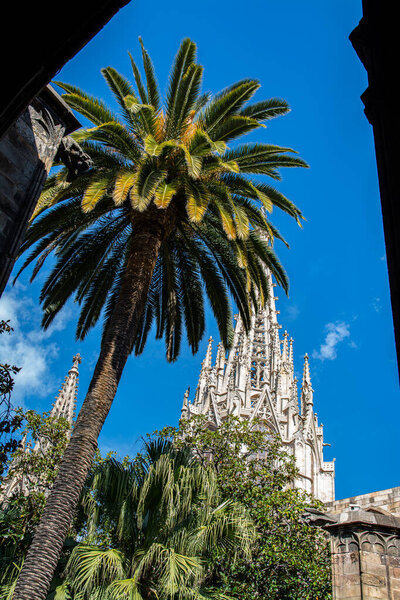 The cathedral of Barcelona in the gothic quarter, Catalonia, Spain