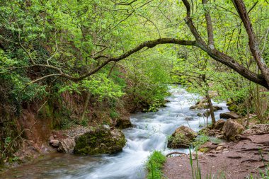 Katalonya, İspanya 'da Castellar de N' Hug