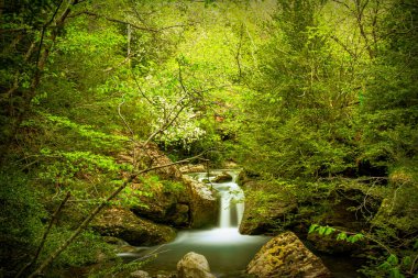 Katalonya, İspanya 'da Castellar de N' Hug