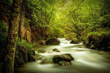 Katalonya, İspanya 'da Castellar de N' Hug