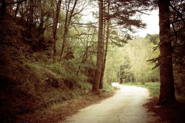 Katalonya, İspanya 'da Castellar de N' Hug