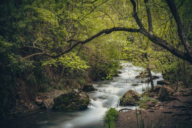 Katalonya, İspanya 'da Castellar de N' Hug