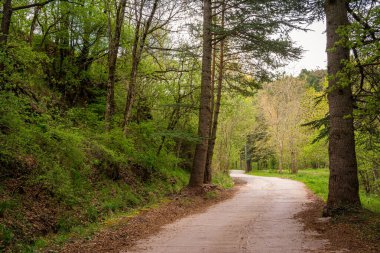 Katalonya, İspanya 'da Castellar de N' Hug