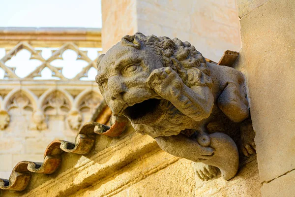Kathedrale Von Tarragona Katalonien Spanien — Stockfoto
