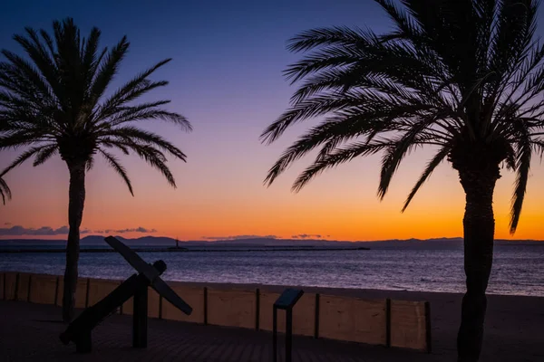 Τριαντάφυλλα Costa Brava Καταλονία Ισπανία — Φωτογραφία Αρχείου