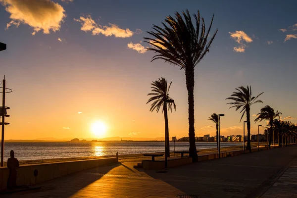 Kosta Brava 'da Güller, Katalonya, İspanya