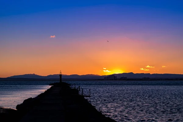 Rozen Aan Costa Brava Catalonië Spanje — Stockfoto