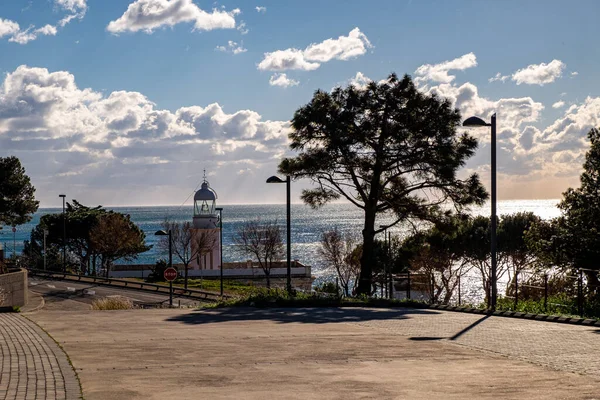 Rozen Aan Costa Brava Catalonië Spanje — Stockfoto