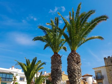 Tarragona 'daki Roc de Sant Gaieta köyü, Katalonya, İspanya