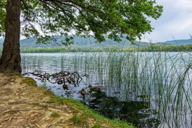 Katalonya, İspanya 'da Banyole Gölü