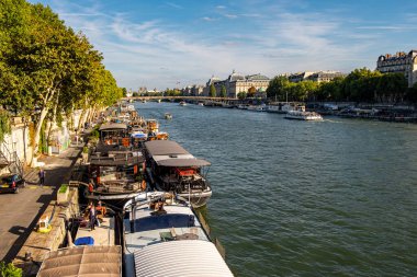 Paris, Fransa 'da Grand Palais ve Pont Alexandre III.