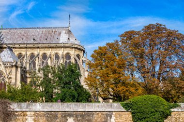 Paris, Fransa 'daki Notre dame Katedrali.