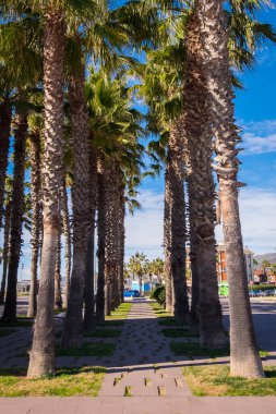 Barselona, Katalonya, İspanya 'daki Castelldefels plajı