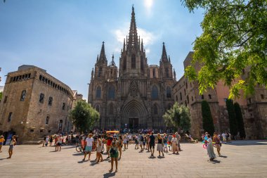 Barselona Katedrali Gotik Bölge, Katalonya, İspanya.