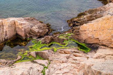 Tossa de Mar kalesi, Costa Brava, Katalonya, İspanya.