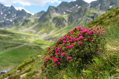 Pireneler 'deki Tristaina yüksek dağ gölleri, Andorra