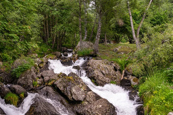 Cascata Nella Foresta Verde Andorra — Foto Stock