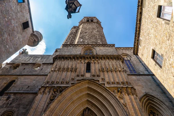 Cattedrale Barcellona Nel Quartiere Gotico Catalogna Spagna — Foto Stock
