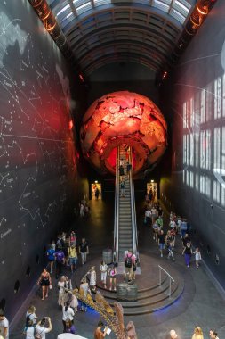 İngiltere, Londra 'daki Doğal Tarih Müzesi.
