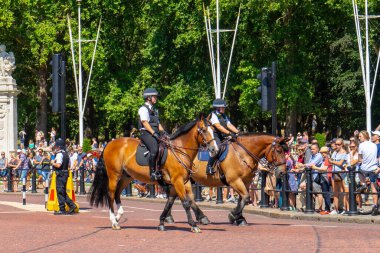 Londra, İngiltere 'deki Buckingham Sarayı muhafızları.