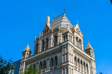 İngiltere, Londra 'daki Doğal Tarih Müzesi.